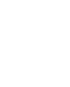 HomePlace.do logo